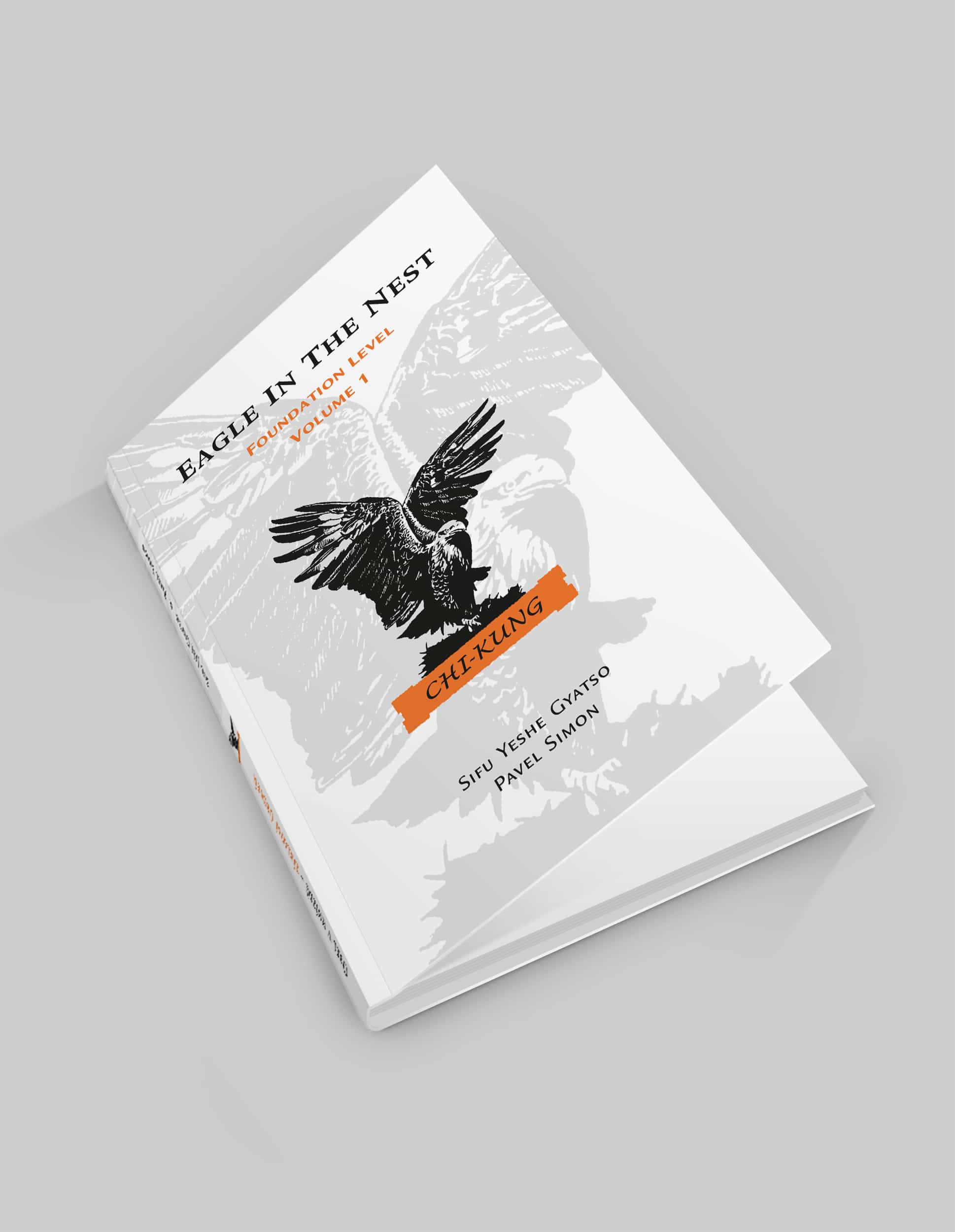 Chikung-Book-Mockup---2