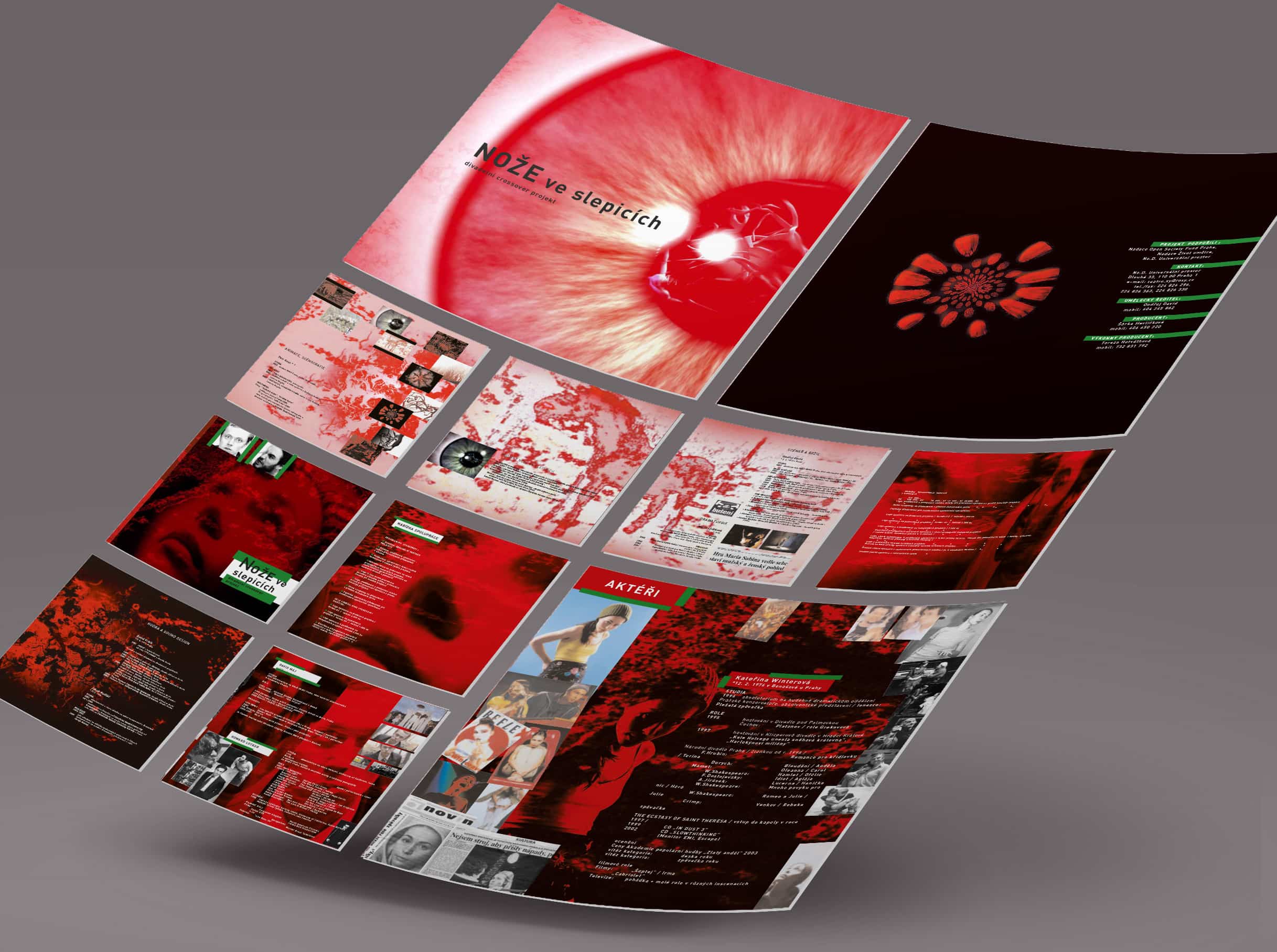 Noze-ve-slepicich-Mockup2